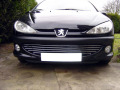 Chromleiste f&uuml;r K&uuml;hlergrill Peugeot 206 Peugeot 206 CC Peugeot 206 SW