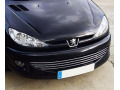 Chromleiste f&uuml;r K&uuml;hlergrill Peugeot 206 Peugeot 206 CC Peugeot 206 SW