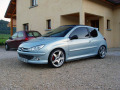 Chromleiste f&uuml;r K&uuml;hlergrill Peugeot 206 Peugeot 206 CC Peugeot 206 SW