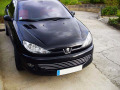 Chromleiste f&uuml;r K&uuml;hlergrill Peugeot 206 Peugeot 206 CC Peugeot 206 SW