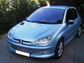 Chromleiste f&uuml;r K&uuml;hlergrill Peugeot 206 Peugeot 206 CC Peugeot 206 SW