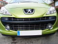 Chromleiste f&uuml;r K&uuml;hlergrill Peugeot 207 06-12 Peugeot 207 CC 07-15 Peugeot 207 SW 07-13