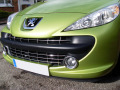 Chromleiste f&uuml;r K&uuml;hlergrill Peugeot 207 06-12 Peugeot 207 CC 07-15 Peugeot 207 SW 07-13
