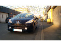 Chromleiste f&uuml;r K&uuml;hlergrill Peugeot 207 06-12 Peugeot 207 CC 07-15 Peugeot 207 SW 07-13