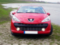 Chromleiste f&uuml;r K&uuml;hlergrill Peugeot 207 06-12 Peugeot 207 CC 07-15 Peugeot 207 SW 07-13