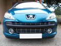 Chromleiste f&uuml;r K&uuml;hlergrill Peugeot 207 06-12 Peugeot 207 CC 07-15 Peugeot 207 SW 07-13