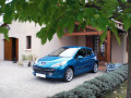 Chromleiste f&uuml;r K&uuml;hlergrill Peugeot 207 06-12 Peugeot 207 CC 07-15 Peugeot 207 SW 07-13