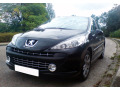 Chromleiste f&uuml;r K&uuml;hlergrill Peugeot 207 06-12 Peugeot 207 CC 07-15 Peugeot 207 SW 07-13