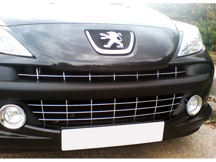 Chromleiste f&uuml;r K&uuml;hlergrill Peugeot 207 06-12 Peugeot 207 CC 07-15 Peugeot 207 SW 07-13