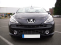 Chromleiste f&uuml;r K&uuml;hlergrill Peugeot 207 06-12 Peugeot 207 CC 07-15 Peugeot 207 SW 07-13