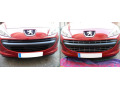Chromleiste f&uuml;r K&uuml;hlergrill Peugeot 207 06-12 Peugeot 207 CC 07-15 Peugeot 207 SW 07-13