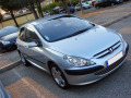 Chromleiste f&uuml;r K&uuml;hlergrill Peugeot 307 01-05 Peugeot 307 CC 01-05 Peugeot 307 SW 01-05