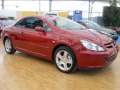 Chromleiste f&uuml;r K&uuml;hlergrill Peugeot 307 01-05 Peugeot 307 CC 01-05 Peugeot 307 SW 01-05