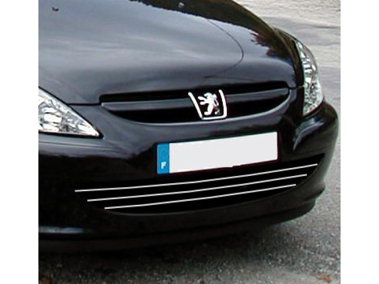 Chromleiste f&uuml;r K&uuml;hlergrill Peugeot 307 01-05 Peugeot 307 CC 01-05 Peugeot 307 SW 01-05