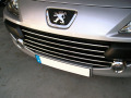 Chromleiste f&uuml;r K&uuml;hlergrill Peugeot 307 05-09 Peugeot 307 CC 05-09 Peugeot 307 SW 05-09
