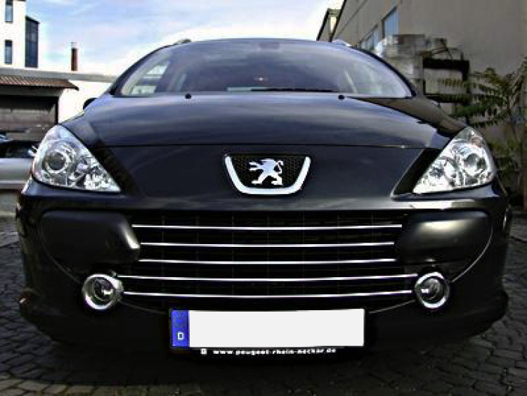Chromleiste f&uuml;r K&uuml;hlergrill Peugeot 307 05-09 Peugeot 307 CC 05-09 Peugeot 307 SW 05-09