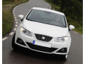 Chromleiste f&uuml;r K&uuml;hlergrill Seat Ibiza 08-17 & Seat Ibiza ST