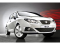 Chromleiste f&uuml;r K&uuml;hlergrill Seat Ibiza 08-17 & Seat Ibiza ST