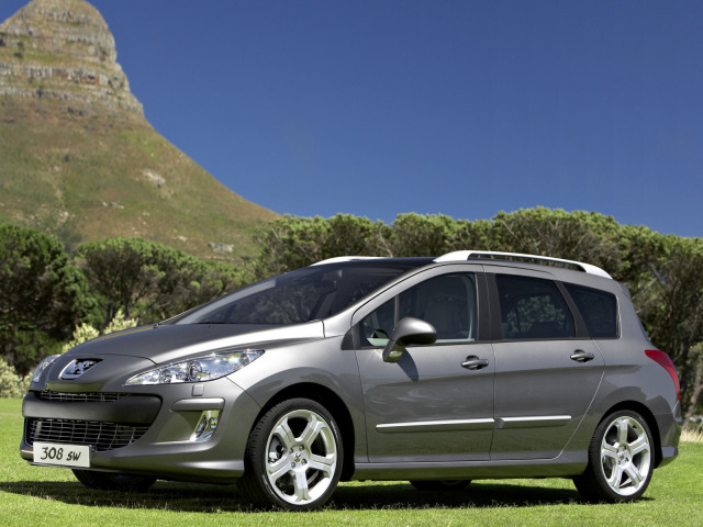 SeitenschutzChromzierleiste Peugeot 308 SW 0814