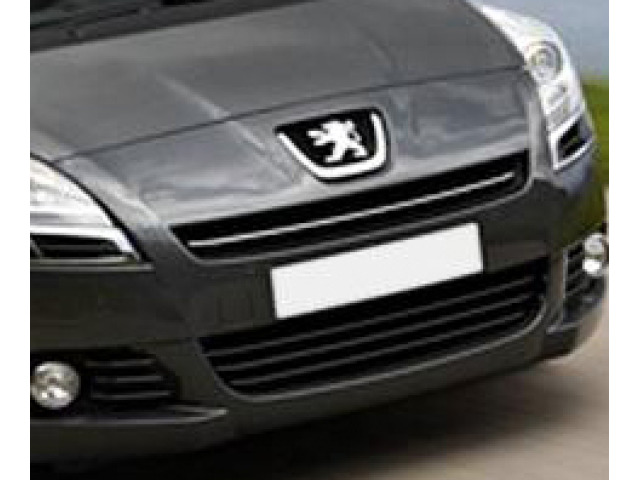 ZierChromleiste für KühlergrillOberteil Peugeot 5008 0913  Peugeot 5008 phase 2 1316