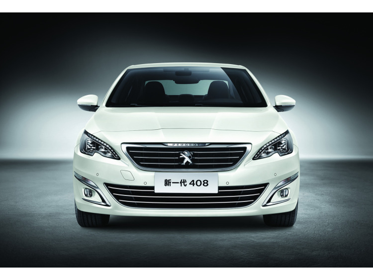 Zier-Chromleiste f&uuml;r K&uuml;hlergrill-Unterteil Peugeot 408