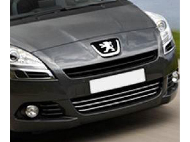 ZierChromleiste für KühlergrillUnterteil Peugeot 5008 0913  Peugeot 5008 phase 2 1316