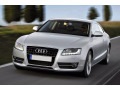 Zier-Chromleiste f&uuml;r Nebelscheinwerfer Audi A5 Cabriolet 09-11 Audi A5 Coup&eacute; 07-11 Audi A5 Sportback 09-11