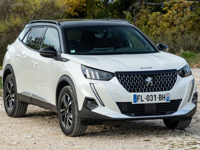 ZierChromleiste für Nebelscheinwerfer Peugeot 2008 1926