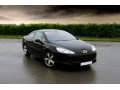 Zier-Chromleiste f&uuml;r seitliche Autofensterkonturen Peugeot 407