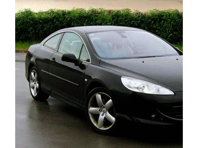 ZierChromleiste für seitliche Autofensterkonturen Peugeot 407